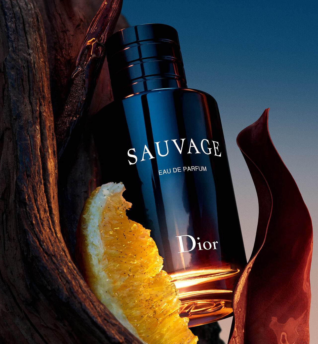 Sauvage Dior |Upto 12 Hour's Lasting 🌸|